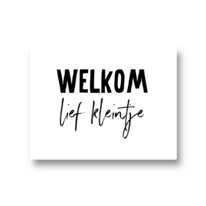 Lotsoflo Sticker Welkom lief kleintje