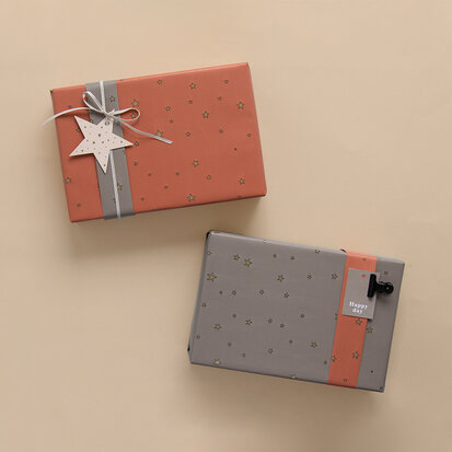 Cadeaulabel Star pastel