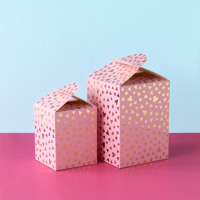 Geschenkdoos - Large - Hearts - Blush pink