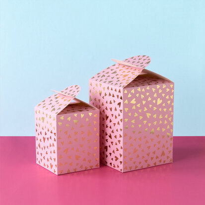 Geschenkdoos - Medium - Hearts - Blush pink