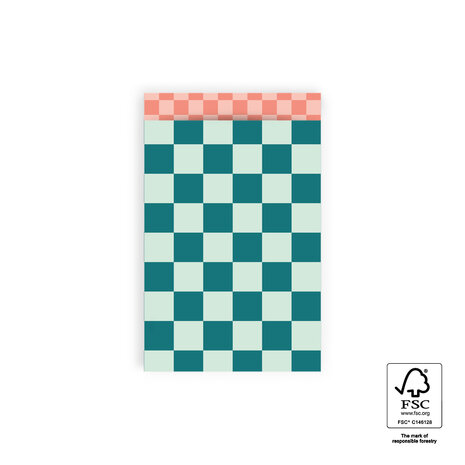 Cadeauzakjes Big Check Jade Blue - Check Salmon 12 x 19