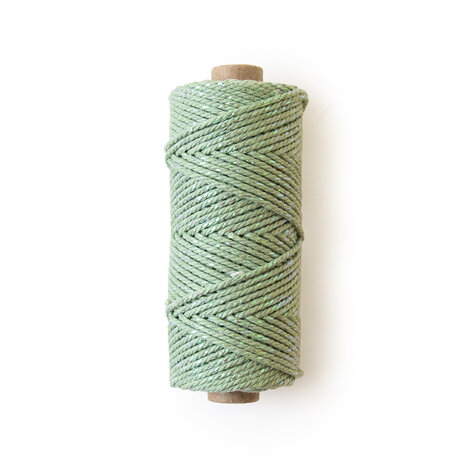 Cotton cord Irisé mint parelmoer roll