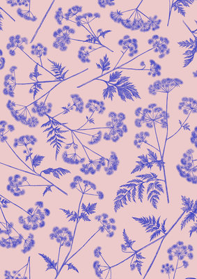 Cadeaupapier Dotted wildflower Soft Pink/Blue