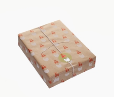 Cadeaupapier Jantien Baas Sinterklaas kraft