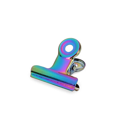 Office clips Holographic klein