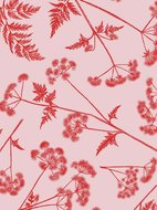 Cadeaupapier Dotted wildflower Pink/red